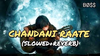 New Song 2024  Chandani Raate  Lofi Song  Slowed Reverb  BØ [upl. by Gastineau]