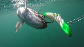 Pyramid Lake Lahontan Cutthroat Trout  Part 2 of 2  Trolling Plugs and Spoons for FAST ACTION [upl. by Aicirt643]