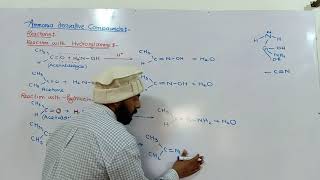 Ammonia derivative reactions  hydroxylamine amp hydrazine with carbonyl compound  12th class ch12 [upl. by Annaj]