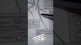 Alcohols phenols And ethersChemistryMINDMAP NEET board 12th study shortsyoutube ytviral📌👍 [upl. by Eelynnhoj]