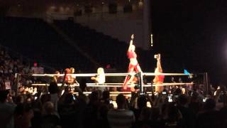 Nikki amp Brie Bella Entrance WWE Supershow 82115 [upl. by Didi]