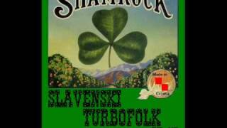 The Shamrock  Old Skibbereen [upl. by Scheer]