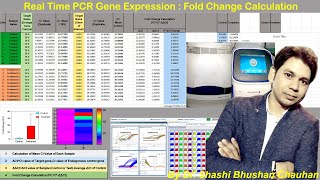 How to Analyze Real time PCR Data  Real Time PCR Gene Expression Fold Change Calculation [upl. by Sprague538]