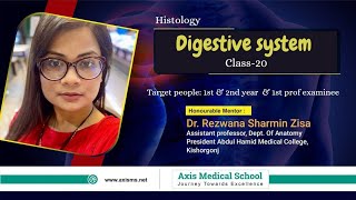 Histology  Class 20  Digestive System [upl. by Blackington241]