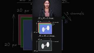 Formatting Image Data 📸  Ensuring Uniformity 🔲  Topic 214 ai ml [upl. by Jarvey]