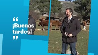 Análisis de la encuesta de las elecciones en Castilla y León [upl. by Sairtemed]