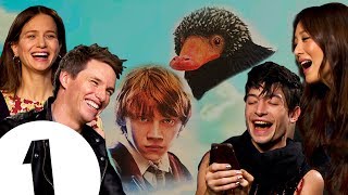 Ron vs The Niffler Who wins The Fantastic Beasts 2 cast on the real star of the series [upl. by Kaia]