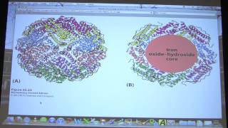 51 Biochemistry Gene Expression III Lecture for Kevin Aherns BB 451551 [upl. by Yemarej]