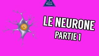 Le Neurone Partie 1 [upl. by Robyn548]