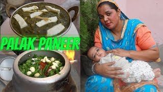 Palak Paneer Recipe  How to make Palak Paneer  Punjabi [upl. by Aivatnohs]