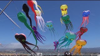 Berkeley Kite Festival 2017 [upl. by Aisereht]