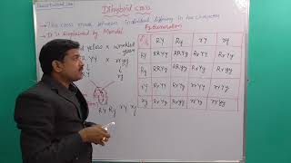 Dihybrid cross Genetics  racetutorial cnu [upl. by Anoyi]