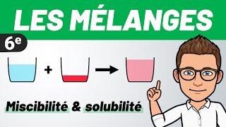 LES MÉLANGES ✅ Soluble  Miscible  Saturation   Physique  Chimie  6e  Sciences [upl. by Busiek515]