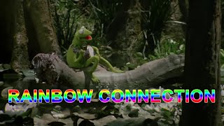 Kermit the Frog  Rainbow Connection  The Muppets  Steve Whitmire [upl. by Aelem956]