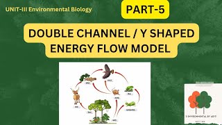 Y shaped energy flow model Double channel energy flow model [upl. by Chlo]