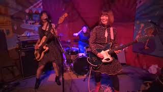 Tsushimamire  Jaguar live at the Big Top Houston 112223 [upl. by Ellita]