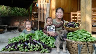 Harvest green vegetables and eggplants to sell at the market  cook with your children [upl. by Dnilasor]