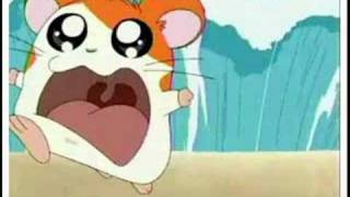 hamtaro arabic opening [upl. by Ecille]