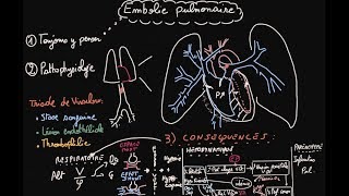 Embolie pulmonaire  Pathophysiologie  Partie 1  Docteur Synapse [upl. by Izak]