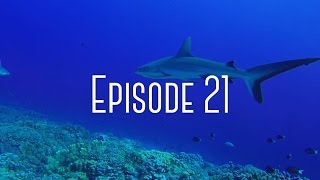 Fakarava Tuamotu  Episode 21  Eco Sailing Project [upl. by Adamson]