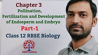 Class 12 Chapter 3 Pollination Fertilization and Development of Endosperm and Embryo RBSE Part1 [upl. by Aoniak471]