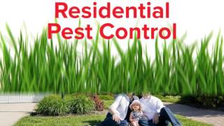 AmeriTech Pest Control Weatherford TX 76086 Rodent Control [upl. by Skip]