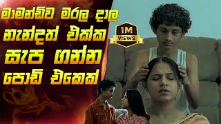 මාමව මරලා නැන්ද එකක් සැපගන්න පොඩිඑකෙක්  nay varan loncha movie sinhala explain  Maduwa review [upl. by Auqenahc]