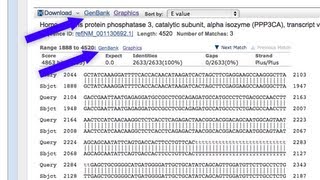 BLAST New Results Format Oct 2012 [upl. by Adala]