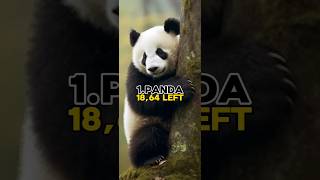 Top 10 Animals That Will Extinct By 2050 shorts viral animals youtubeshorts [upl. by Apple]