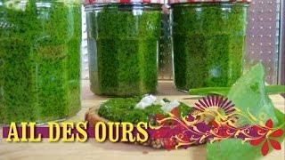 PESTO AIL DES OURS [upl. by Ranzini]