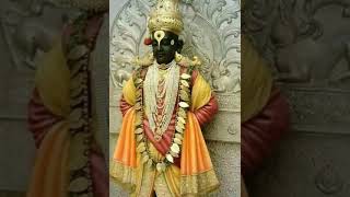 Vitthal vitthal vitthala jayharivitthal youtubeshorts youtuber videocreator youtubevideo viral [upl. by Yltneb]