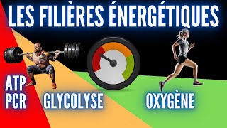 LES FILIÈRES ÉNERGÉTIQUES [upl. by Aniled]