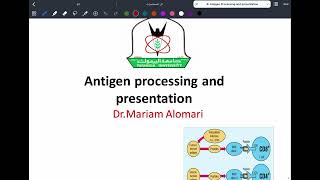 Immunology L8 C1C2 Antigen processing amp presentation P1 [upl. by Tocs724]