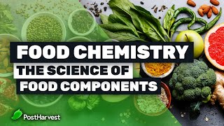 Food Chemistry  The Science of Food Components [upl. by Milli]