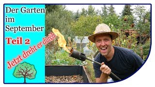 Garten im September Teil 2  jetzt dreht er durch  Hochbeet befüllen  Gartenrundgang [upl. by Aivekahs95]