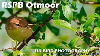 Bird Photography at RSPB Otmoor with the Sony A7IV amp Sony FE 200600mm F5663 G OSS [upl. by Mayberry]