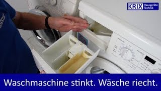 Wachmaschine stinkt Wäsche riecht Einfach reinigen [upl. by Grannias]