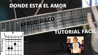 TUTORIAL COMO TOCAR DONDE ESTA EL AMOR  AFRODISIACO 🇵🇪 [upl. by Sanferd]