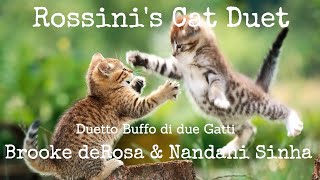 Rossini Cat Duet  Brooke deRosa amp Nandani Sinha quotDuetto Buffo di Due Gattiquot [upl. by Batruk]