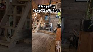 12x12 Cabin Could You Live Here [upl. by Ivens]