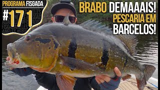 BRABO DEMAIS PESCARIA DE GIGANTES EM BARCELOS PESCARIA [upl. by Carole]