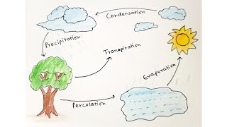 Water Cycle how to draw water cycle diagram of water cycle step by step drawing for beginners [upl. by Bathsheb920]