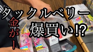 タックルベリー爆買い⁉︎ タックルベリー タックル 釣り 爆買い [upl. by Kuo]