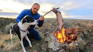 BIG TROUT Fishing amp Primitive FIRE COOKING with my Dogs Catch amp Cook Adventure [upl. by Ezirtaeb788]