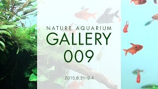 ADAview NATURE AQUARIUM GALLERY009EN [upl. by Nerol]