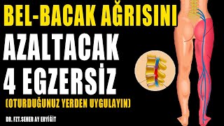 OTURARAK BEL KALÇA AĞRISINI AZALTACAK 4 EGZERSİZ aktifizyo fiziktedavi belağrısı fıtıktedavisi [upl. by Hinkel]