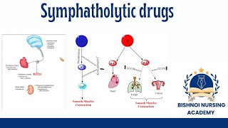 Symphatholitic drugs antihypertensive drugs in pharmacology [upl. by Elokcin]