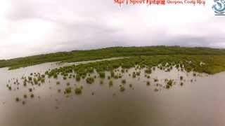 Mangrove fishing Quepos Costa Rica with Mar1 Sport Fishing Quepos [upl. by Goldshell]