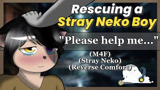 M4F Rescuing A Stray Neko Boy Stray Neko Reverse Comfort [upl. by Stearne]