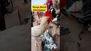 Murga Mandi Ahmedabad short video  Viral murga Mandi  viral  Short [upl. by Groeg]